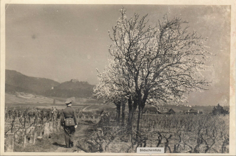 Heldenpfad oberhalb Alsterweiler 1940er jahre