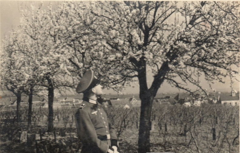 Heldenpfad oberhalb Alsterweiler 1940er Jahre