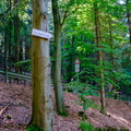 Totenkopfquelle, 10.09.2023