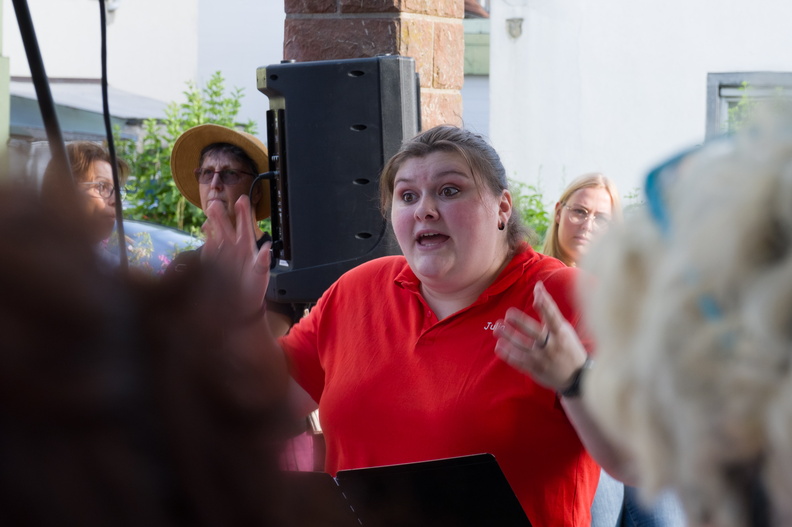 27.06.2025 Alsterweiler Brunnenkerwe