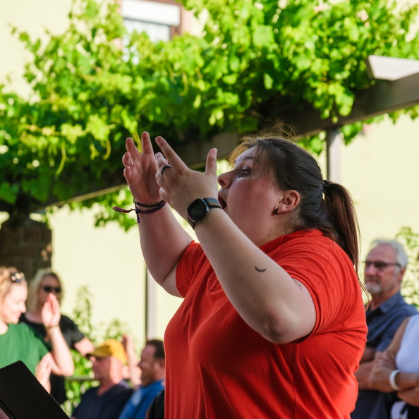 27.06.2025 Alsterweiler Brunnenkerwe