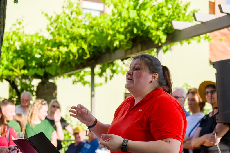 27.06.2025 Alsterweiler Brunnenkerwe