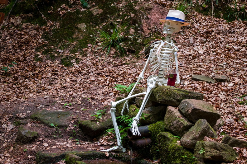 2025 08 23 Totenkopfquelle