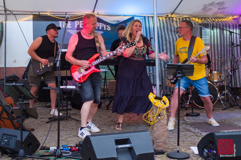 20.06.2026 "The Perhappys" im Hof der Kredenburg